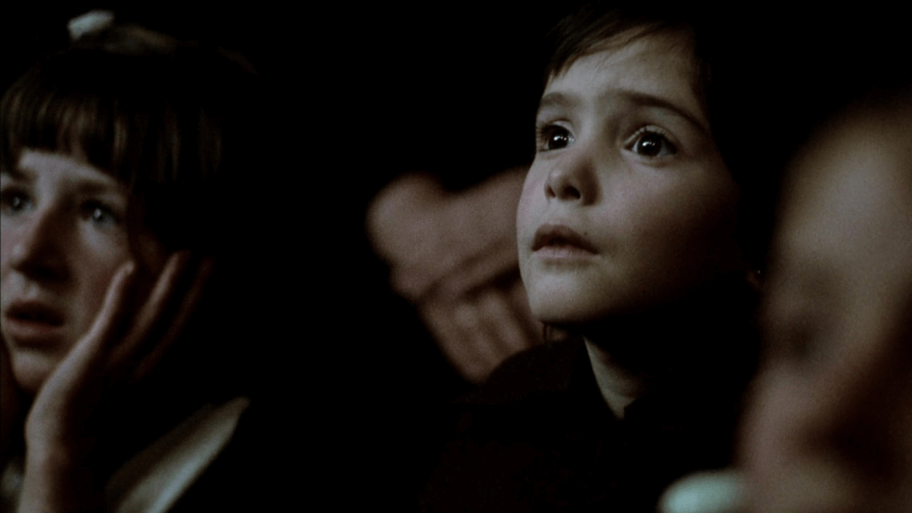 The Spirit of the Beehive movie